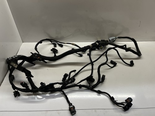 Engine wiring loom - engine,
