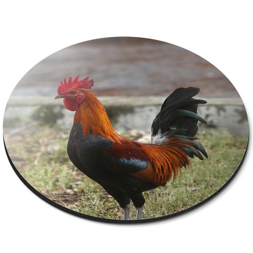 Round mouse mat rhode - mouse, island