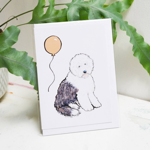 Old english sheepdog - english, birthday