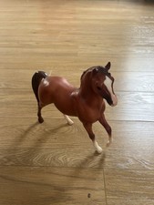 Arabian stallion Red chestnut