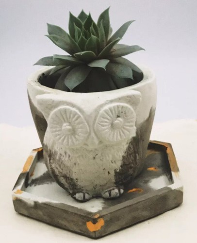 Concrete owl planter plant - owl, pot