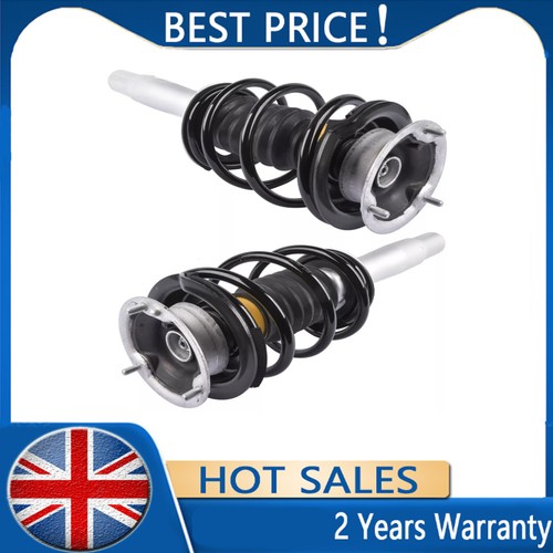 Shock absorber complete - 2x,