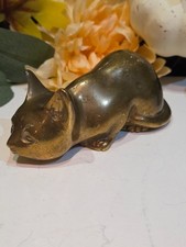 Lovely Curious Cat Polished