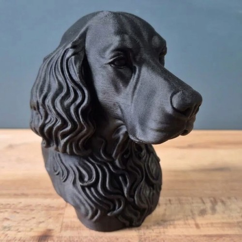Gordon setter dog - setter,