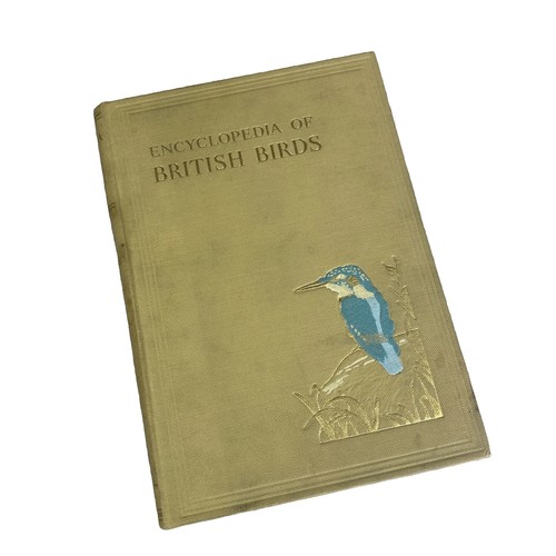 Encyclopedia british birds - of,