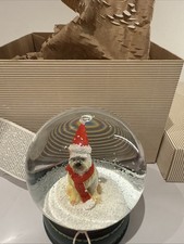 CHRISTMAS 🎄PEREGRINE