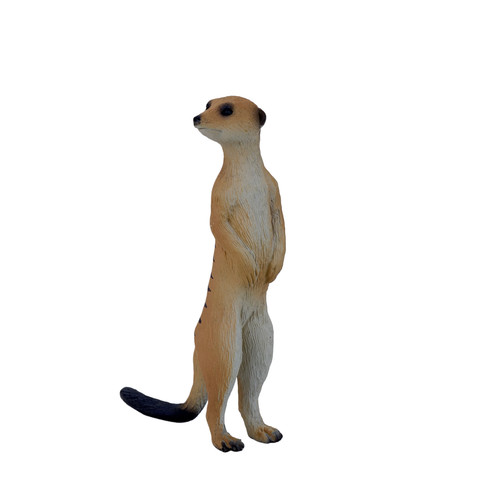 Mojo meerkat wild zoo - .mojo, animals