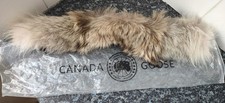 Canada Goose Arctic Program