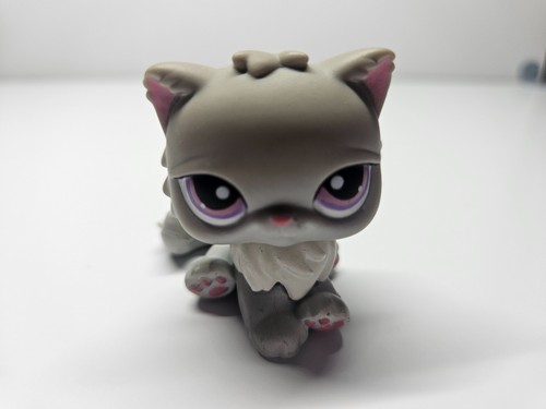 Littlest pet shop grey persian - shop,