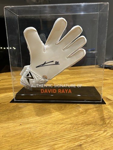 David raya signed - david,