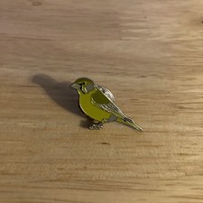 European Greenfinch Green