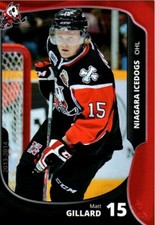 Matt Gillard 2013-14 Niagara