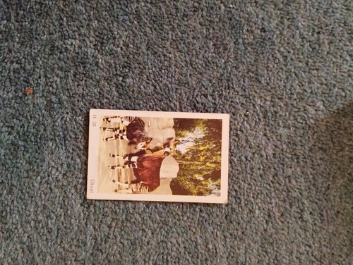 Sk13 trade card dandy - card, wild