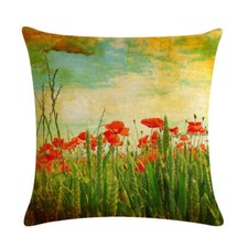 18 x 18 inch Throw Pillow Case