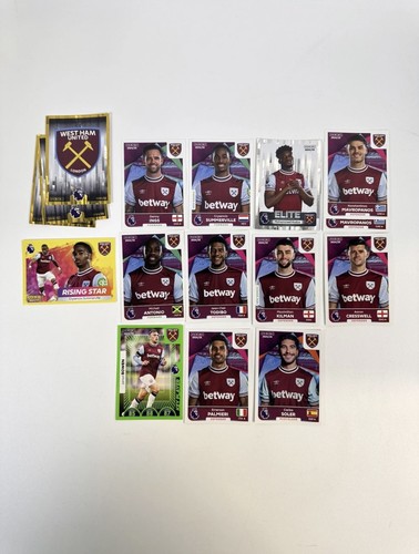Panini premier league stickers - panini,
