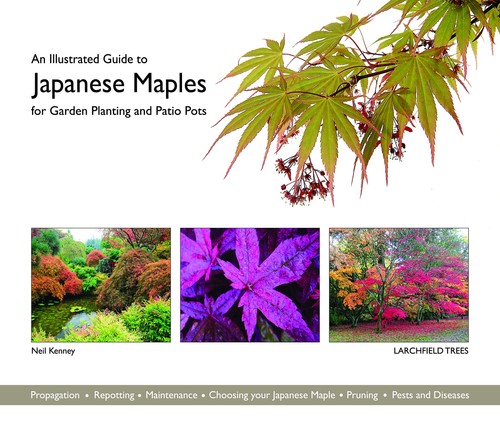 Illustrated guide to - illustrated,