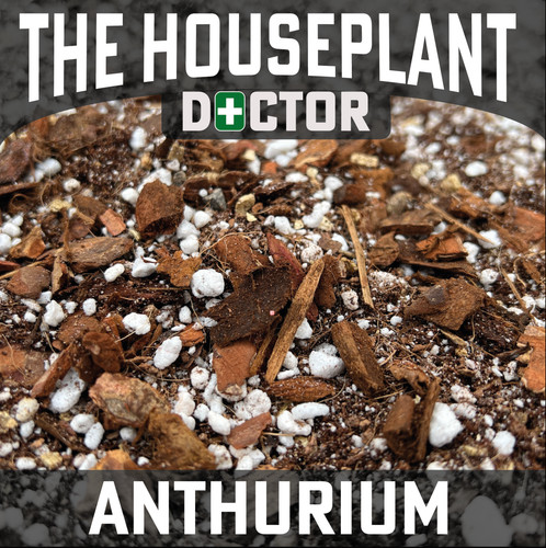 Anthurium compost soil - soil, mix