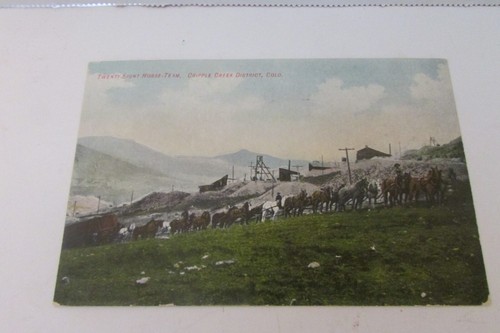 Postcard twenty eight horse - postcard,