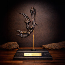 Velociraptor foot Replica –