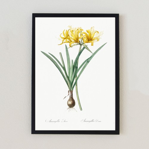 Botanical flower vintage - botanical,