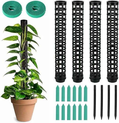 Moss poles for climbing - moss,