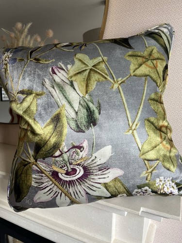 Passiflora velvet clarke and - velvet,
