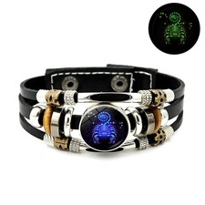 12 Constellation Zodiac Signs