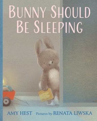 Bunny should sleeping - bunny,