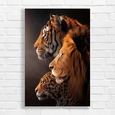 Majestic big cats - big, print