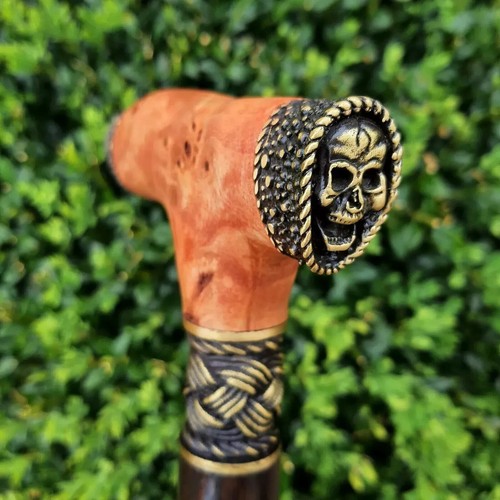 New walking cane - cane,