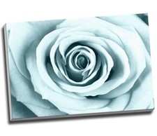 DUCK EGG ROSE Canvas Print Wall Art 30x20" A1