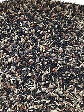 Canary & Finch Conditioner