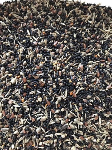 Canary finch conditioner - canary, &