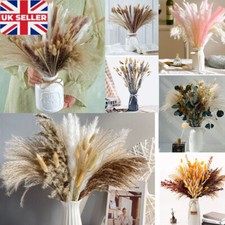 Pampas Grass Natural Dried Flowers Feather Bouquet Bunch Flowers Home Decor