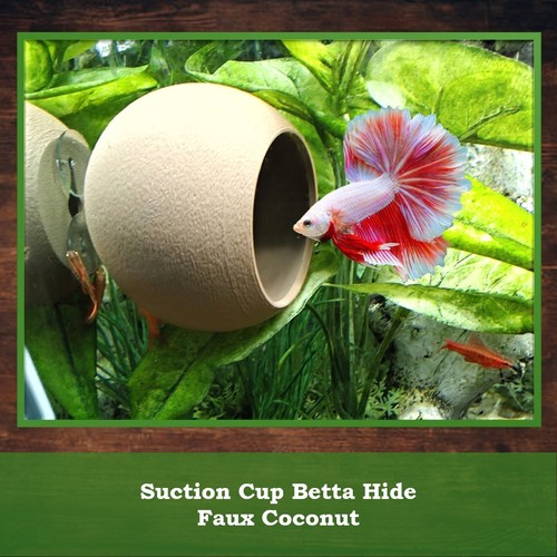 Faux coconut fish cave - coconut,
