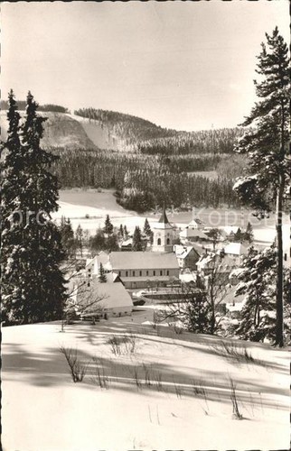 Lenzkirch high black - lenzkirch, forest