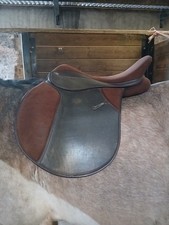 thoroughgood griffin brown gp