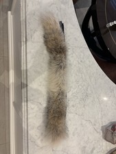 Canada Goose Graphite