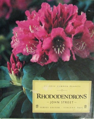 Rhododendrons classic garden - rhododendrons, (classic