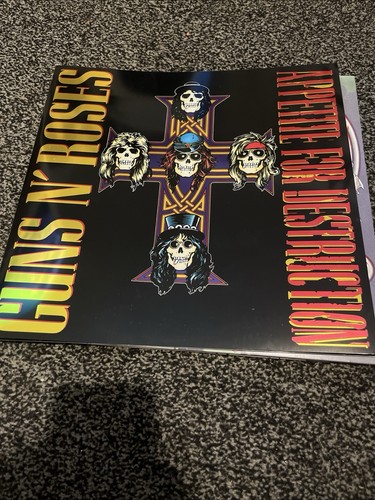 Guns roses appetite for - n,