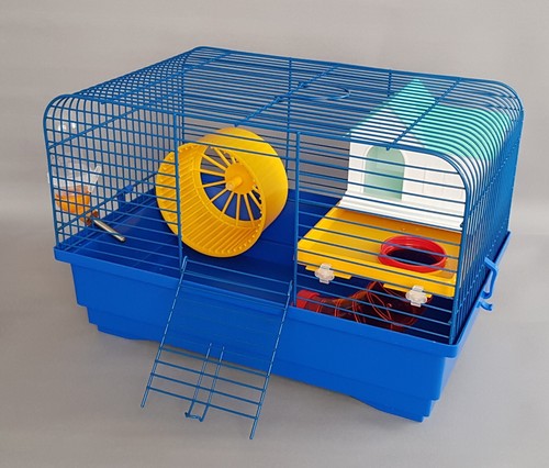 Blue small hamster - small,