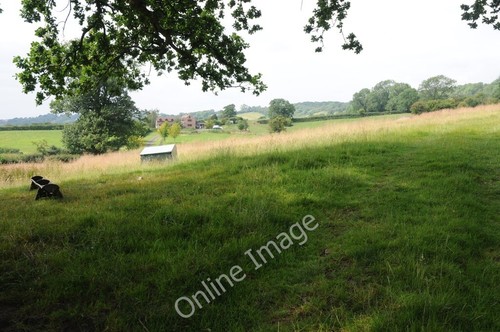 Photo 6x4 grazing land near - photo,