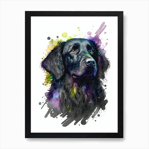 Flat coated retriever - flat-coated,