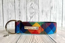 Harlequin fishtail - 2",
