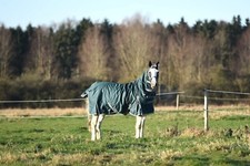 HORSE TURNOUT RUG WEIGHT 200G