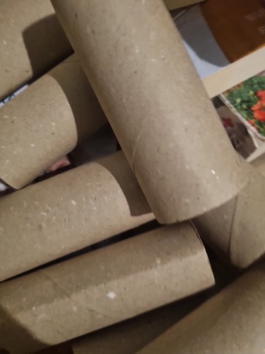 Empty toilet roll - ,