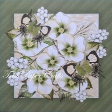 SAMPLE SET 25 5x5" Shts ~