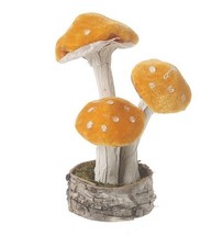 Velvet Orange Standing