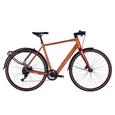 Raleigh Trace Hybrid Electric Bike