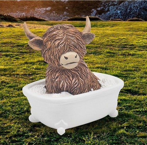 Hughie highland cow - hughie, 'soaking'